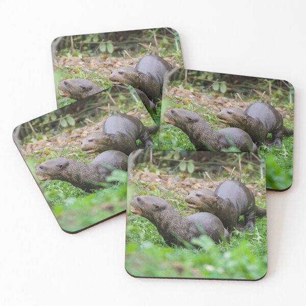 Item preview, Baby Otters Sticking Together designed and sold by LFPPhotography.