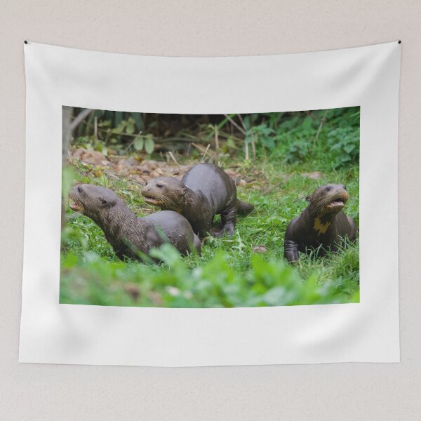 Item preview, Baby Otters Sticking Together designed and sold by LFPPhotography.