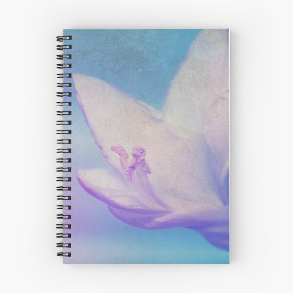 Item preview, Intimacy Past Recollection designed and sold by Denise Abé.