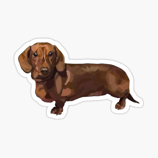 sausage dog teddies