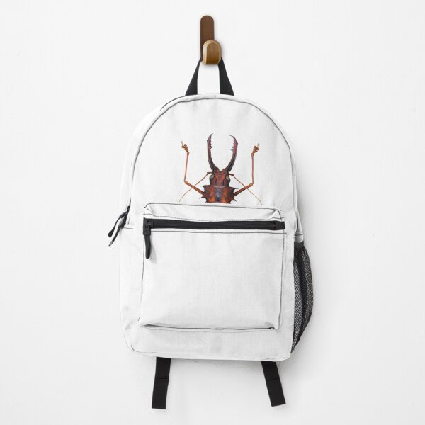 Item preview, Macrodontia cervicornis, giant sawyer beetle, sabertooth longhorn from Peru designed and sold by bromsbugbox.