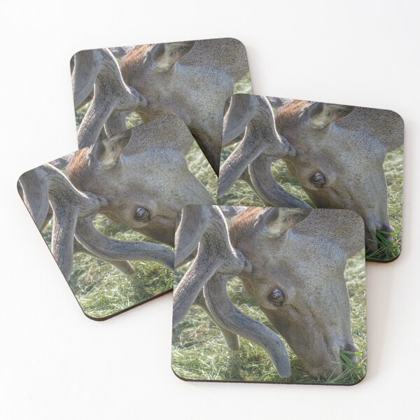 Item preview, Portrait of a majestic red deer designed and sold by AlbertMi.
