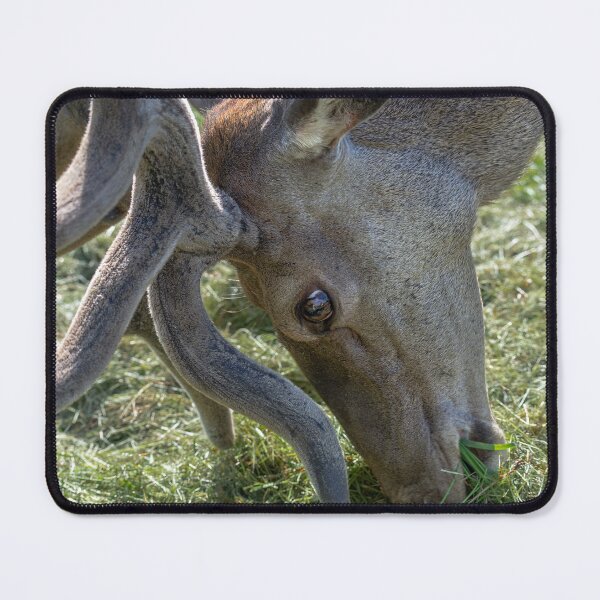 Item preview, Portrait of a majestic red deer designed and sold by AlbertMi.