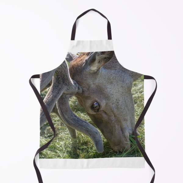 Item preview, Portrait of a majestic red deer designed and sold by AlbertMi.