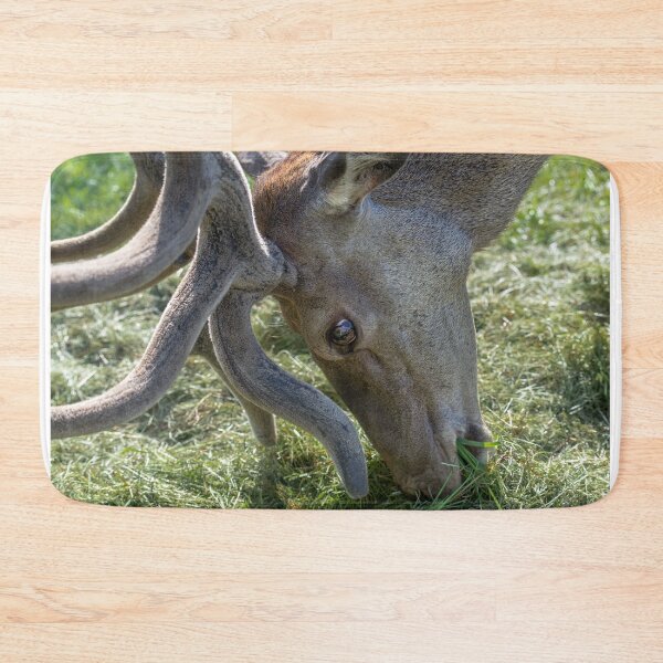 Item preview, Portrait of a majestic red deer designed and sold by AlbertMi.