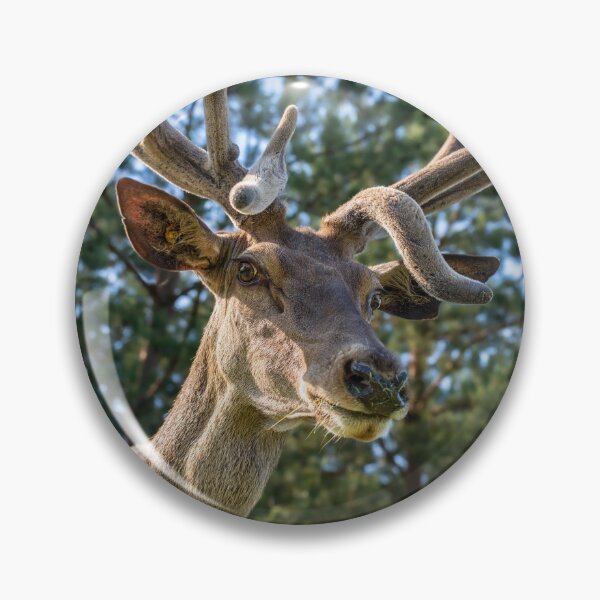Item preview, Portrait of a majestic red deer designed and sold by AlbertMi.