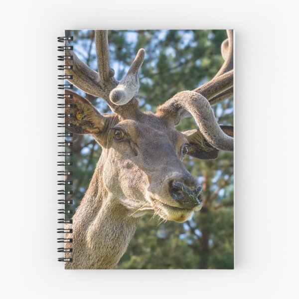 Item preview, Portrait of a majestic red deer designed and sold by AlbertMi.