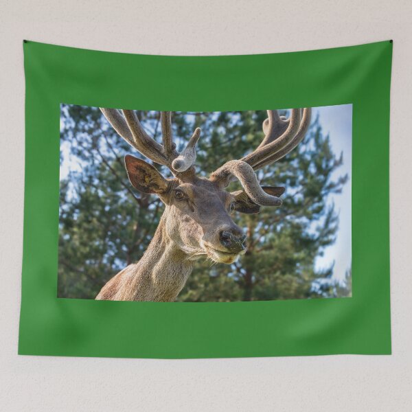 Item preview, Portrait of a majestic red deer designed and sold by AlbertMi.