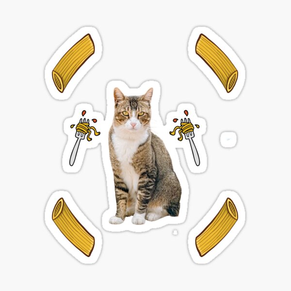 Mom S Cat Eating Spaghetti Cat Eating Spaghetti Funny Spaghetti Cat