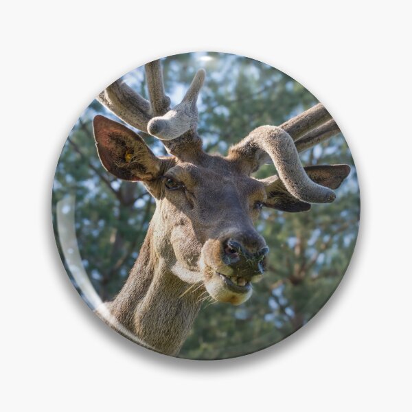 Item preview, Portrait of a majestic red deer designed and sold by AlbertMi.