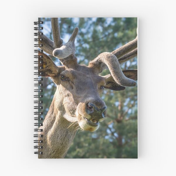 Item preview, Portrait of a majestic red deer designed and sold by AlbertMi.