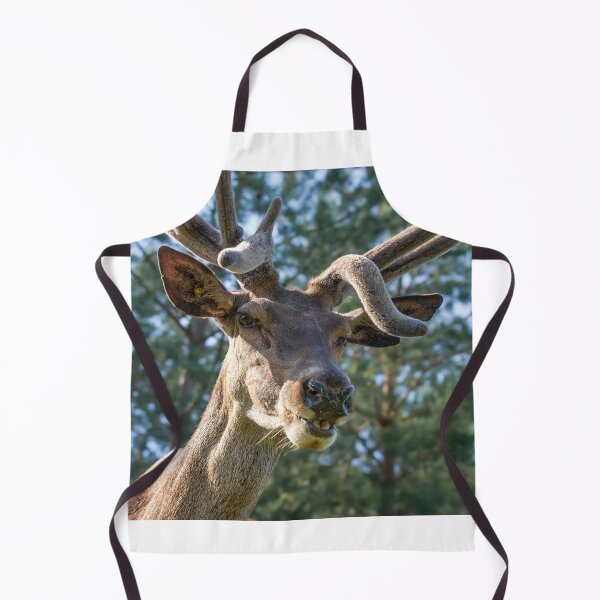 Item preview, Portrait of a majestic red deer designed and sold by AlbertMi.