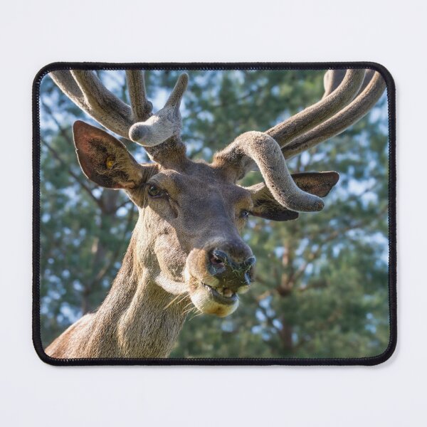 Item preview, Portrait of a majestic red deer designed and sold by AlbertMi.