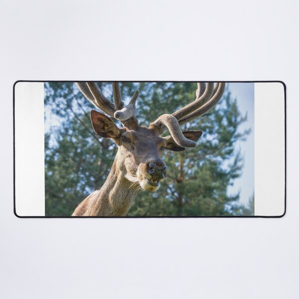 Item preview, Portrait of a majestic red deer designed and sold by AlbertMi.