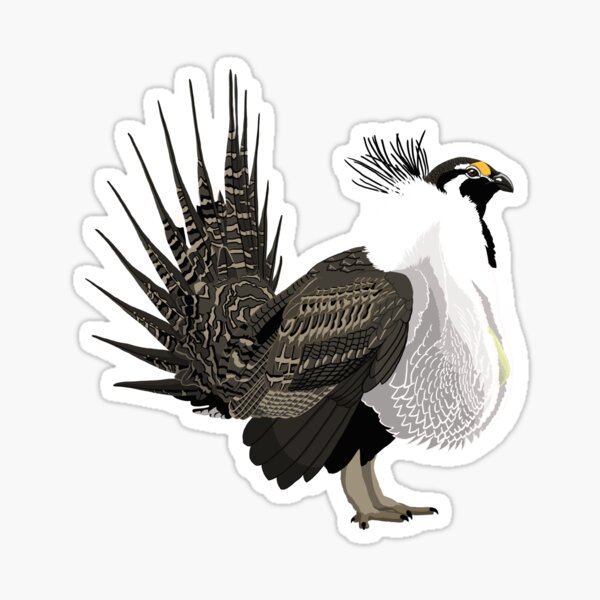 Item preview, Greater Sage-Grouse (support the Bird Conservancy of the Rockies) designed and sold by BennuBirdy.