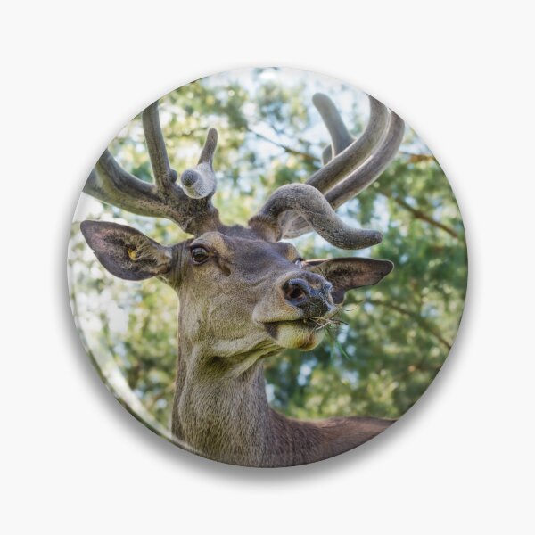 Item preview, Portrait of a majestic red deer designed and sold by AlbertMi.