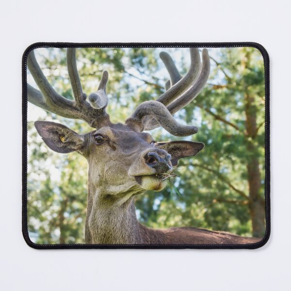 Item preview, Portrait of a majestic red deer designed and sold by AlbertMi.