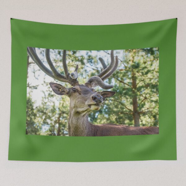 Item preview, Portrait of a majestic red deer designed and sold by AlbertMi.