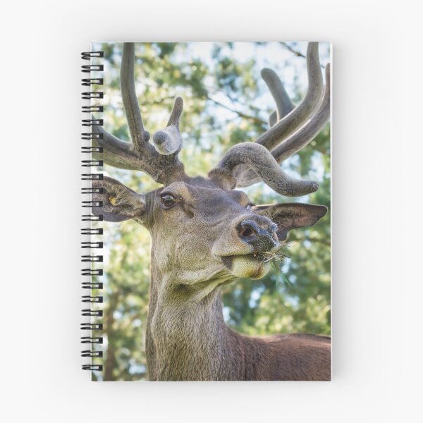 Item preview, Portrait of a majestic red deer designed and sold by AlbertMi.