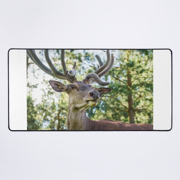 Item preview, Portrait of a majestic red deer designed and sold by AlbertMi.