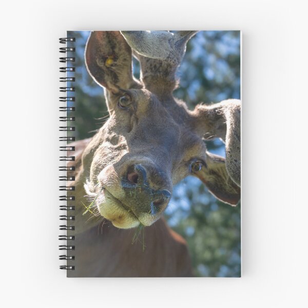 Item preview, Portrait of a majestic red deer designed and sold by AlbertMi.