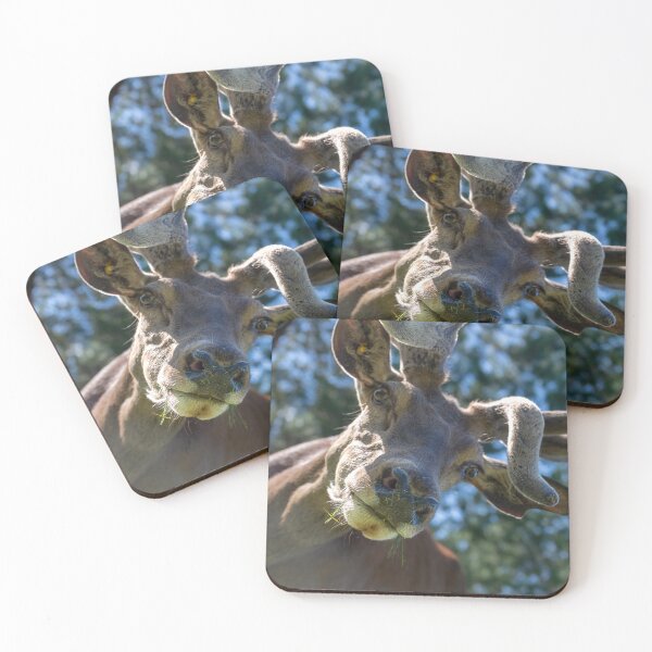 Item preview, Portrait of a majestic red deer designed and sold by AlbertMi.