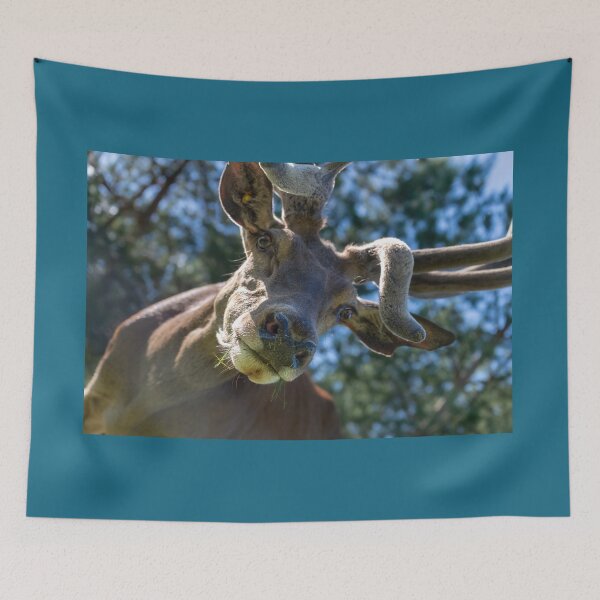 Item preview, Portrait of a majestic red deer designed and sold by AlbertMi.