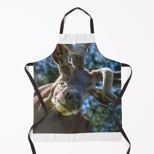 Item preview, Portrait of a majestic red deer designed and sold by AlbertMi.