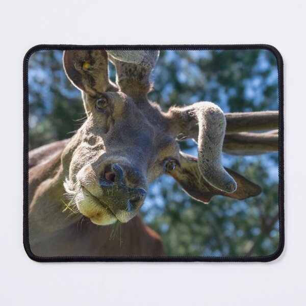 Item preview, Portrait of a majestic red deer designed and sold by AlbertMi.