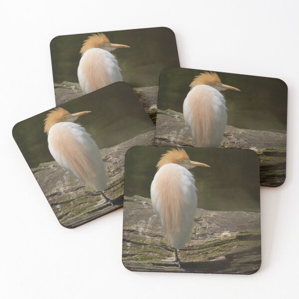 Item preview, Cattle Egret 2  designed and sold by D-GaP.