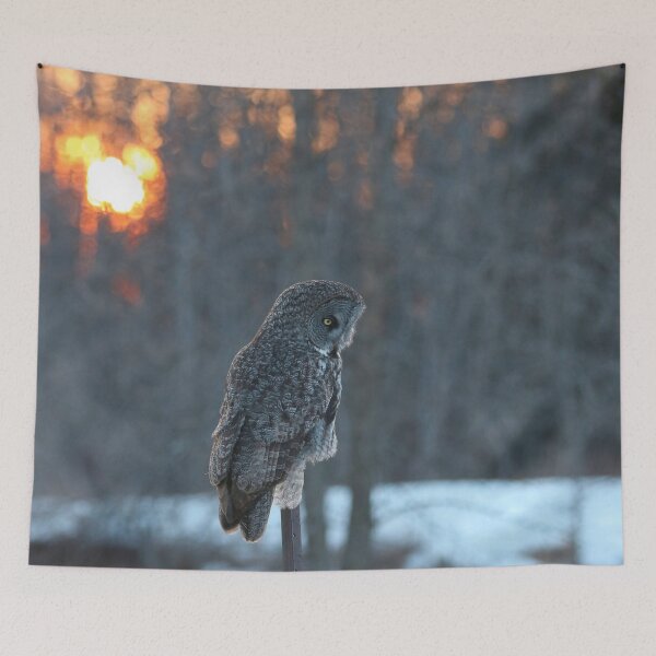 Item preview, Great grey sunset designed and sold by locustgirl.