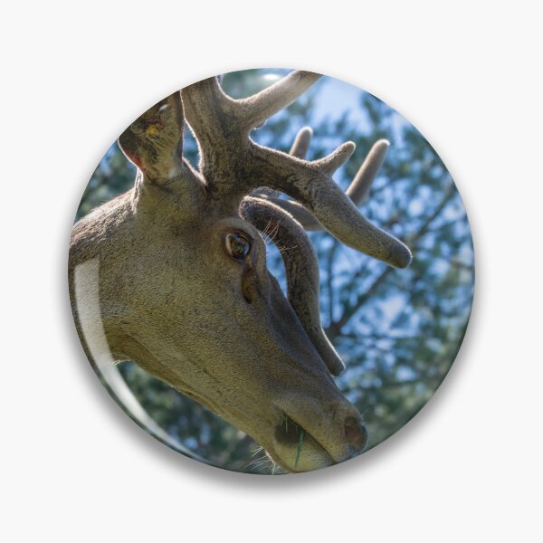 Item preview, Portrait of a majestic red deer designed and sold by AlbertMi.