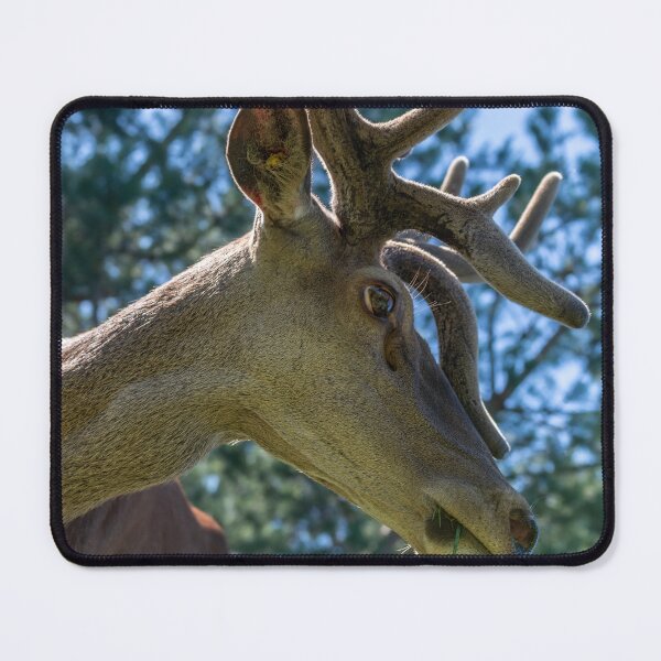 Item preview, Portrait of a majestic red deer designed and sold by AlbertMi.