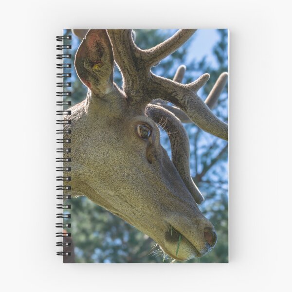 Item preview, Portrait of a majestic red deer designed and sold by AlbertMi.