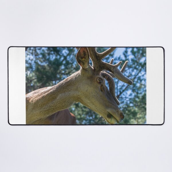 Item preview, Portrait of a majestic red deer designed and sold by AlbertMi.