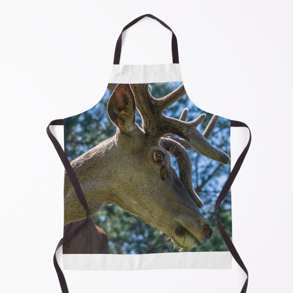 Item preview, Portrait of a majestic red deer designed and sold by AlbertMi.
