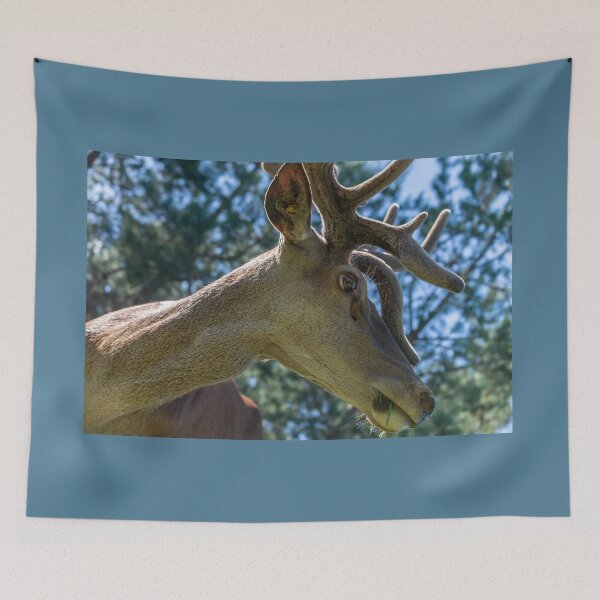Item preview, Portrait of a majestic red deer designed and sold by AlbertMi.