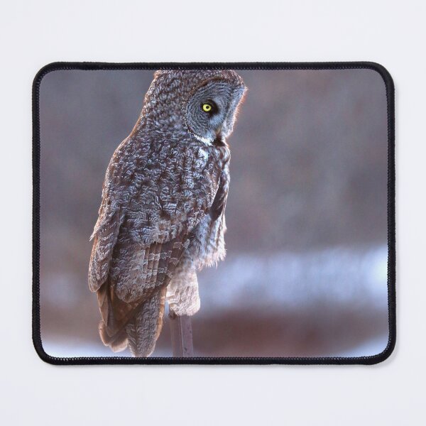 Item preview, Surreal Great Gray Owl designed and sold by locustgirl.
