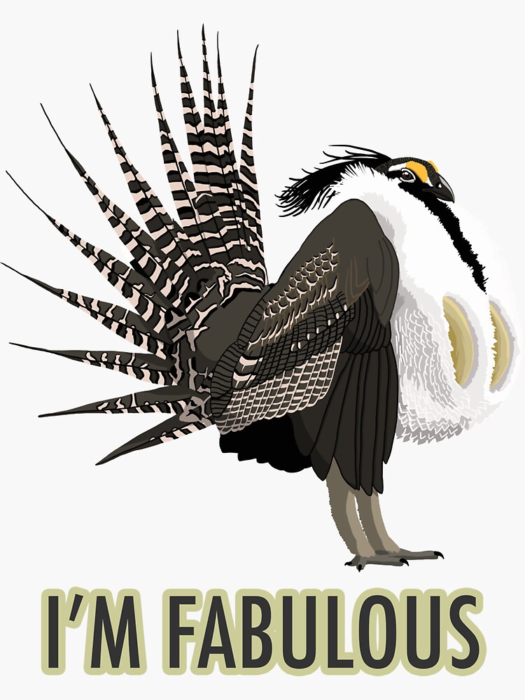 Thumbnail 3 of 3, Sticker, Fabulous Gunnison Sage-Grouse (support the Bird Conservancy of the Rockies) designed and sold by BennuBirdy.
