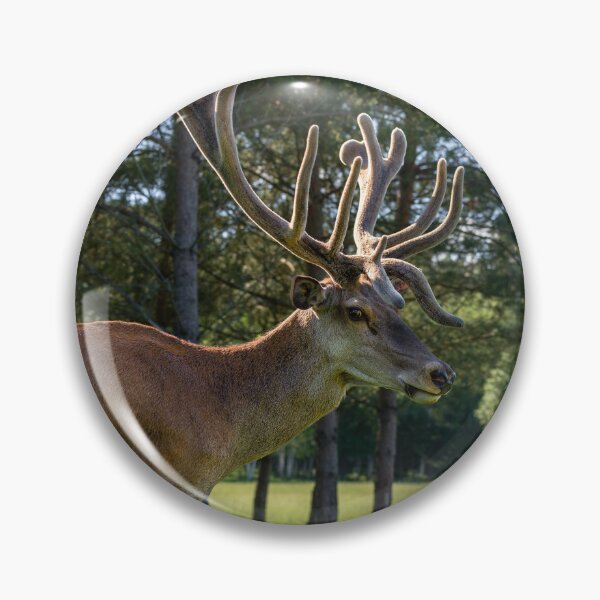 Item preview, Portrait of a majestic red deer designed and sold by AlbertMi.