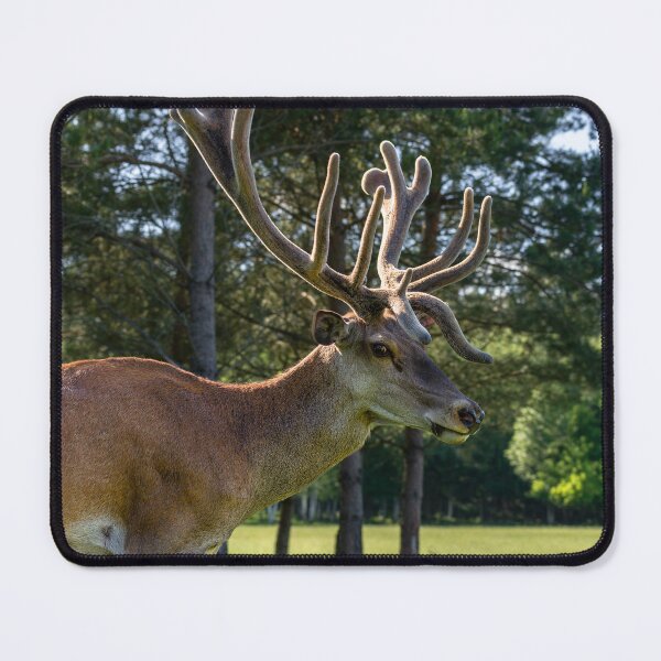 Item preview, Portrait of a majestic red deer designed and sold by AlbertMi.