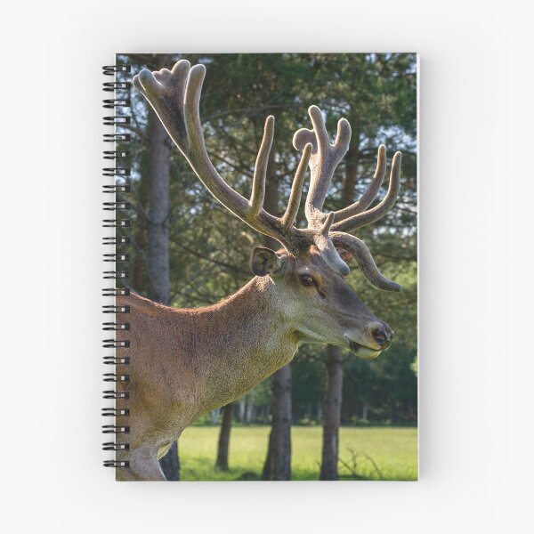 Item preview, Portrait of a majestic red deer designed and sold by AlbertMi.