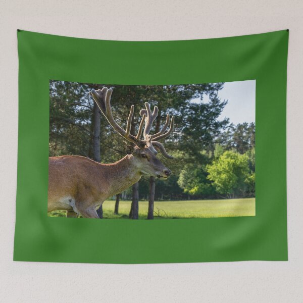 Item preview, Portrait of a majestic red deer designed and sold by AlbertMi.