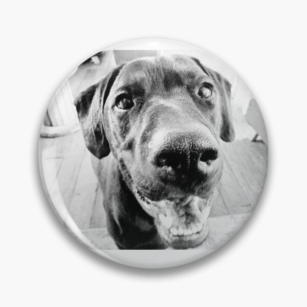 Item preview, Black Jack Lab designed and sold by Astro13Store.