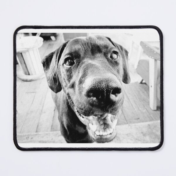 Item preview, Black Jack Lab designed and sold by Astro13Store.