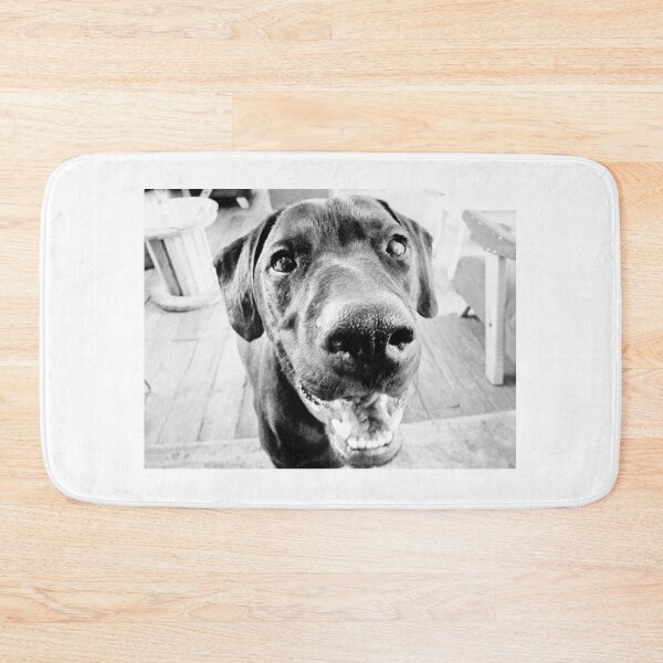 Item preview, Black Jack Lab designed and sold by Astro13Store.