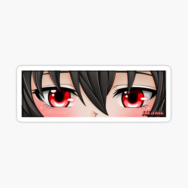Autocollant Vinyle Animé Akame - Série Akame Ga Kill