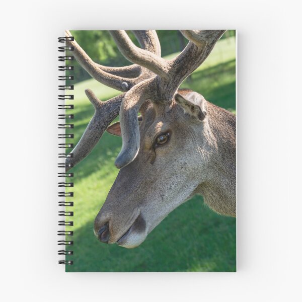 Item preview, Portrait of a majestic red deer designed and sold by AlbertMi.
