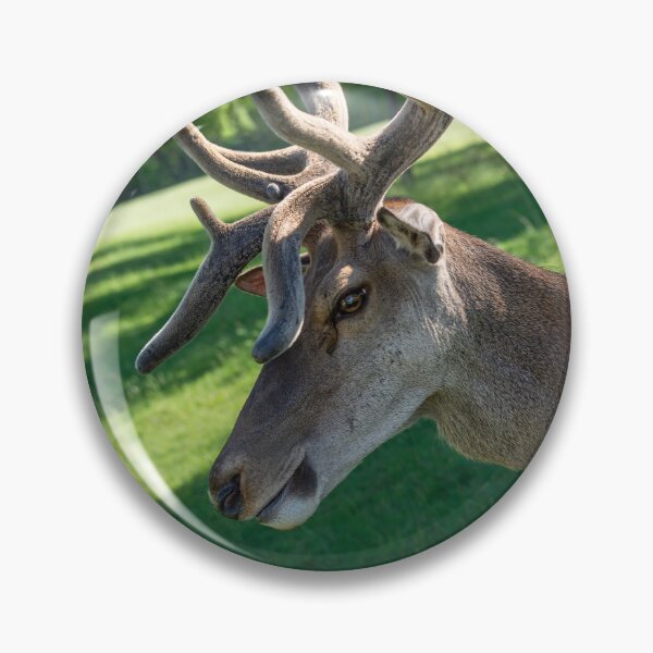 Item preview, Portrait of a majestic red deer designed and sold by AlbertMi.
