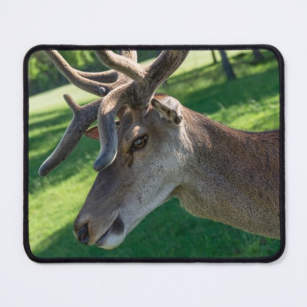 Item preview, Portrait of a majestic red deer designed and sold by AlbertMi.